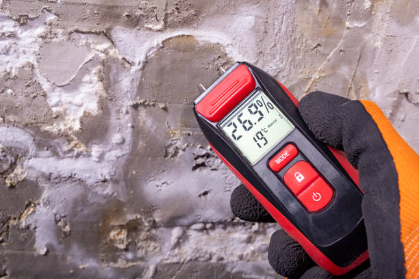 Best Residential Mold Remediation in San Leon, TX