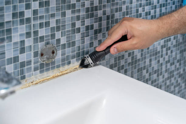 Best Mold Testing and Inspection Services in San Leon, TX